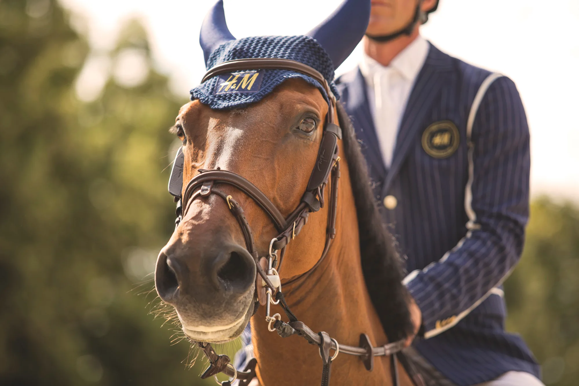 Cavalier et cheval franchissant un obstacle lors d'un concours hippique international