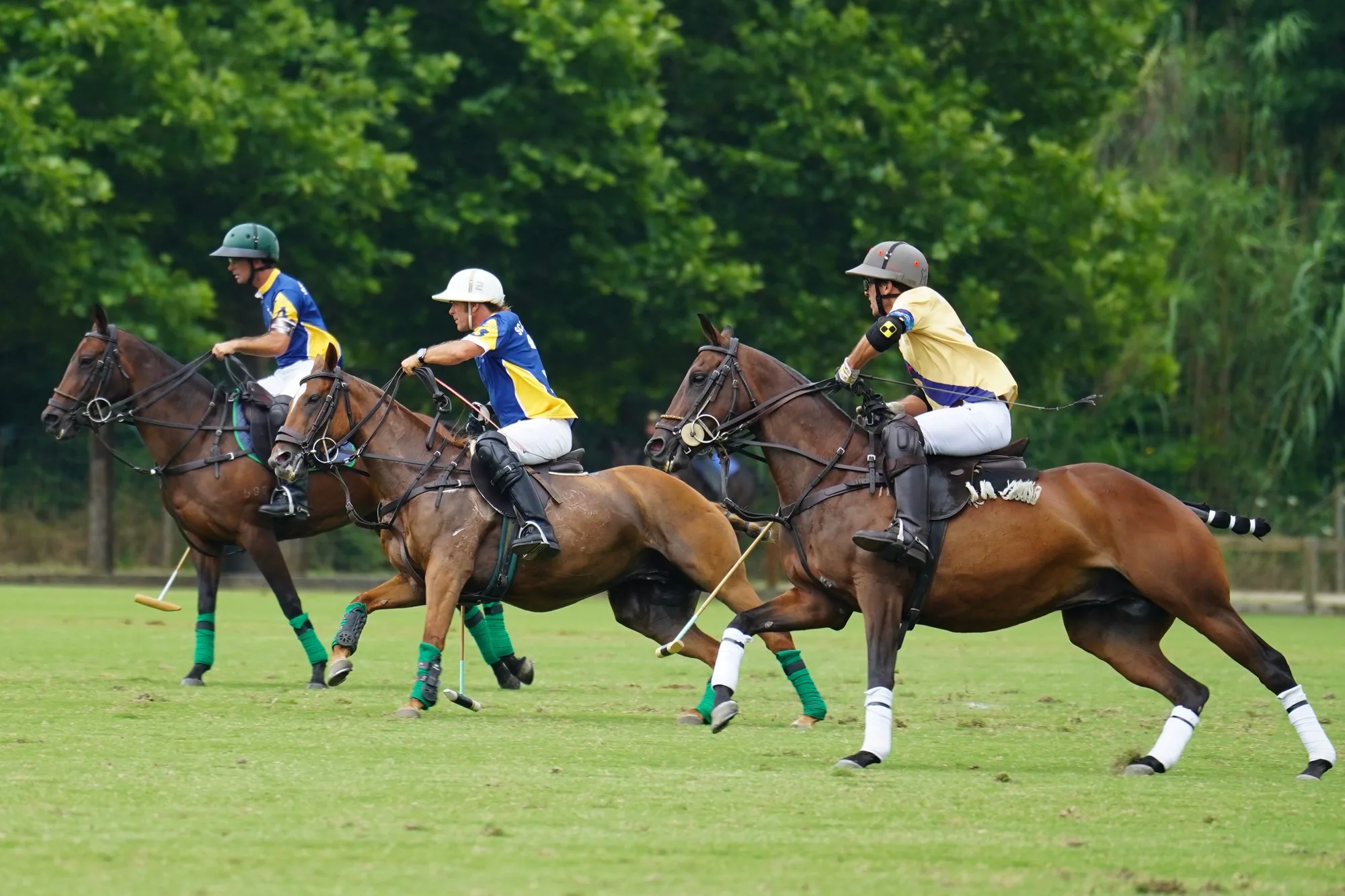 Joueurs de polo à cheval lors d'un tournoi international