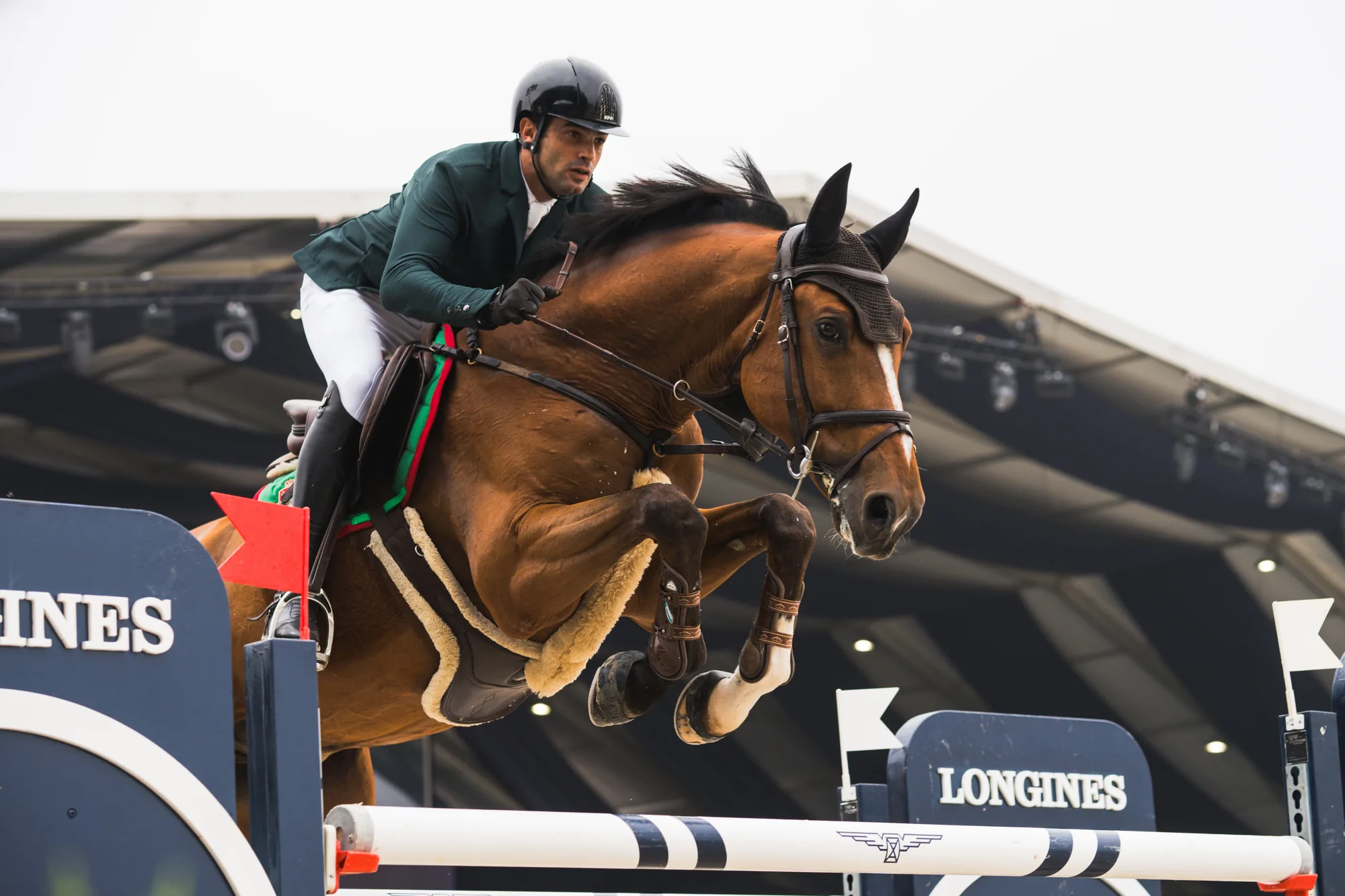 Cheval de course et cavalier lors d'une épreuve hippique de prestige