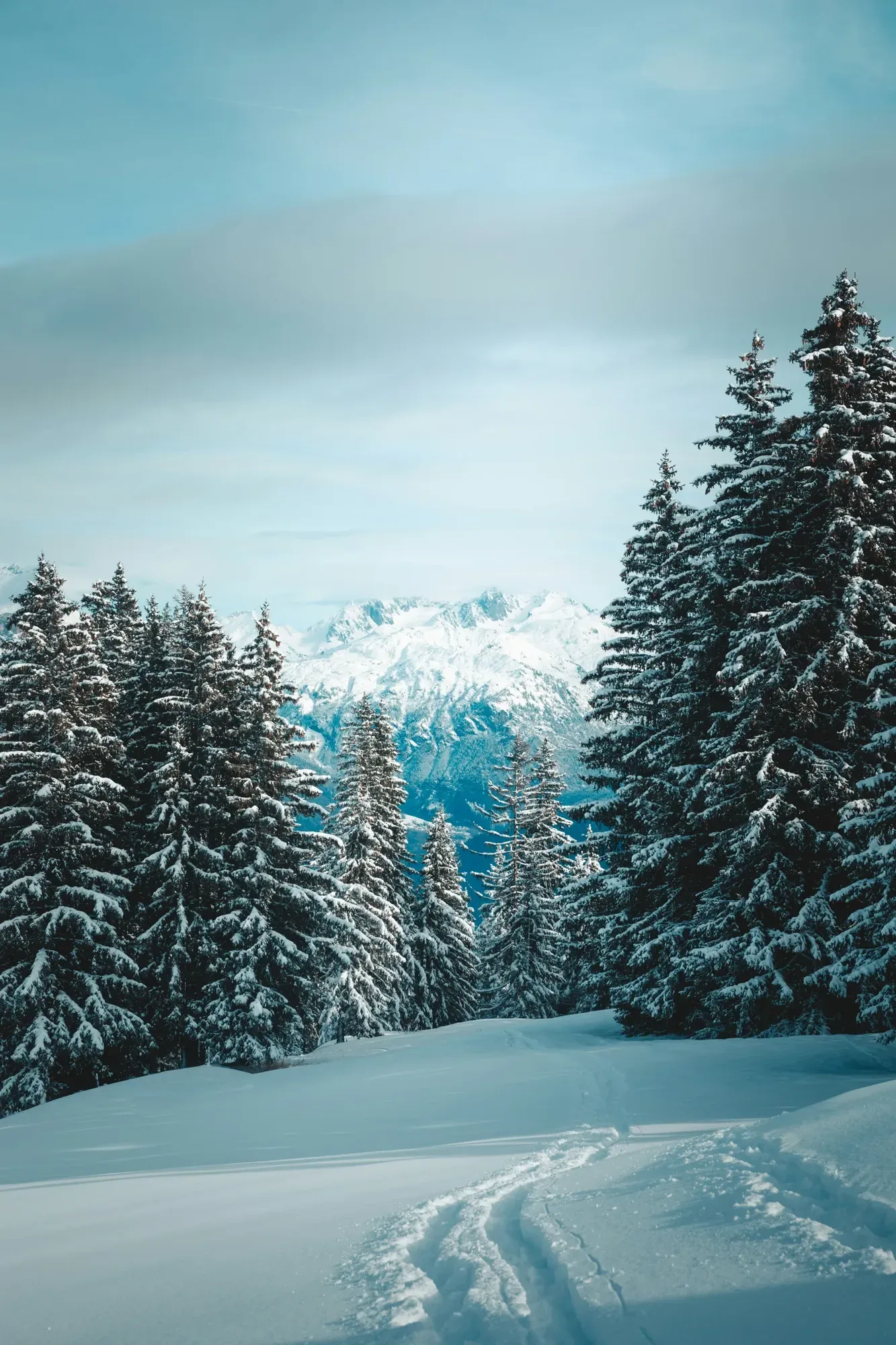 Megève, Noctis Concierge