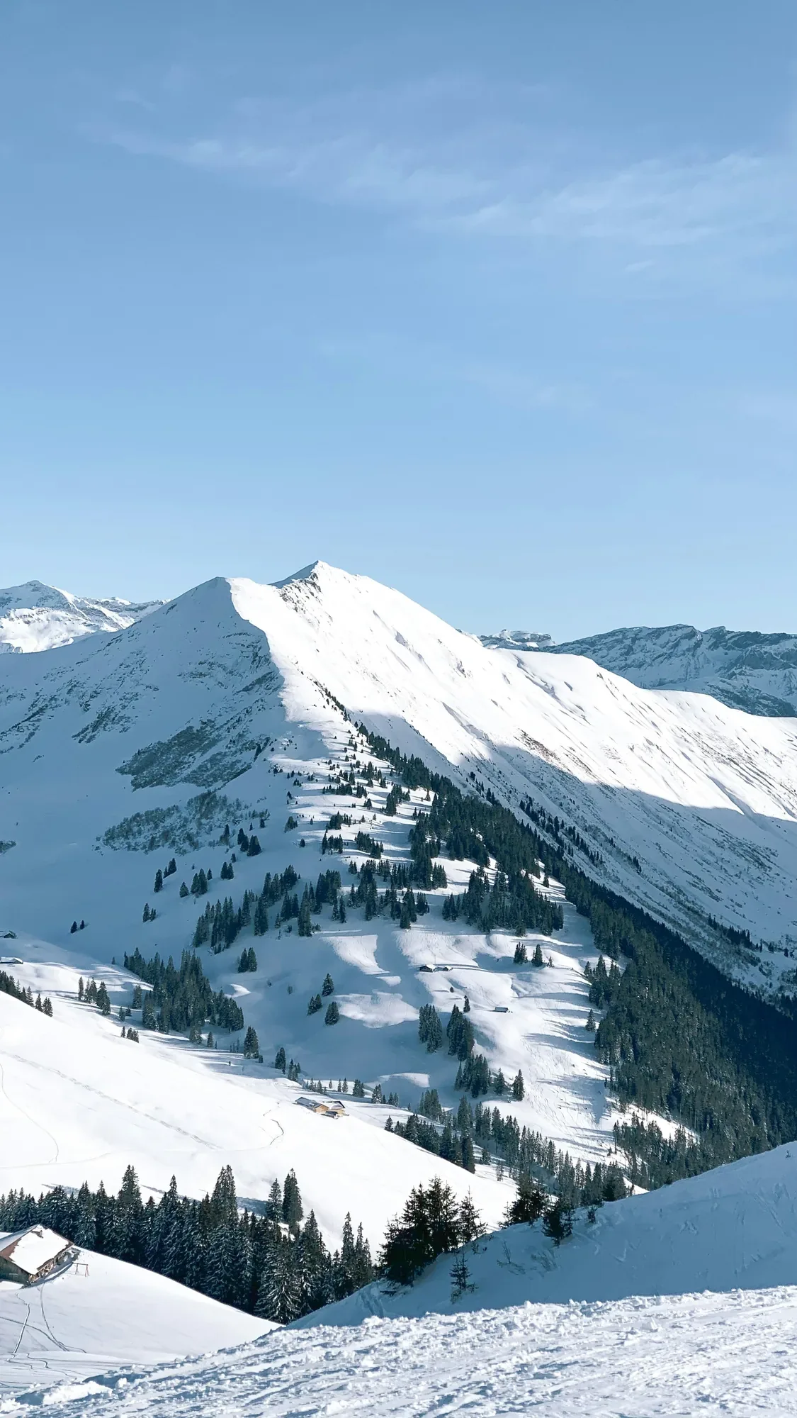Gstaad, Noctis Concierge